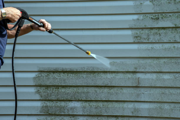 Best Sidewalk and Walkway Pressure Cleaning in Lake Summerset, IL