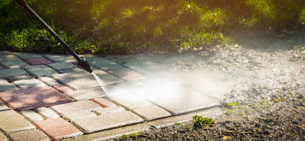 Best Roof Cleaning and Mildew Removal in Lake Summerset, IL