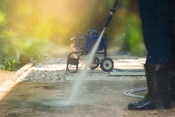 Best Driveway Cleaning and Restoration in Lake Summerset, IL